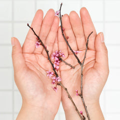 Cherry Blossom - Pure-Castile Magic Soap